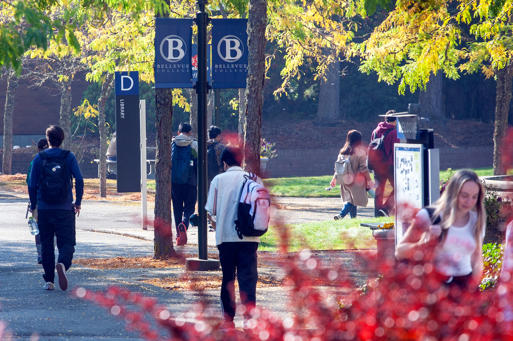 Cover Image for 2023-24 Bellevue College Catalog